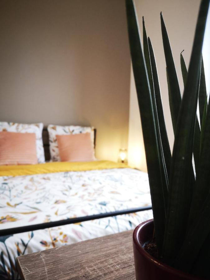 Le Petit Cocon De La Poste Apartment กูดง-อ็อง-แกร์ซี ภายนอก รูปภาพ
